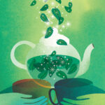 Mint tisane-Tisana alla menta