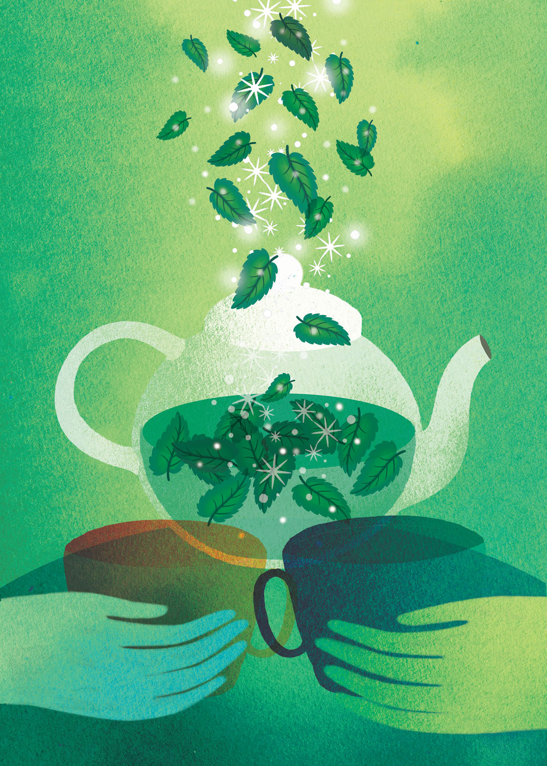 Mint tisane-Tisana alla menta
