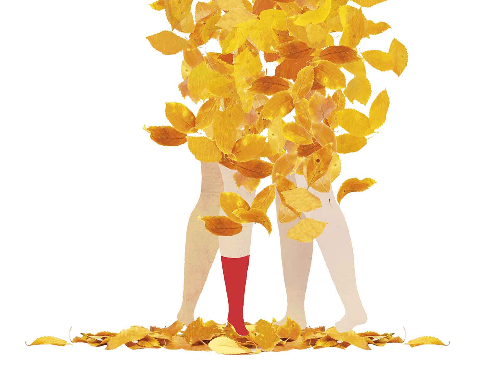 Autumn life