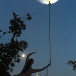 IMG_4654<br>
