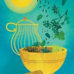 Empowering tisane-Tisana energizzante