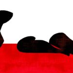 violenza-domestica-6