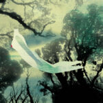 treelife1