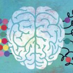 ASD-and-ADHD-4